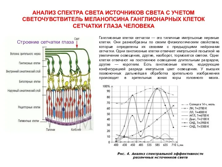 АНАЛИЗ СПЕКТРА СВЕТА ИСТОЧНИКОВ СВЕТА С УЧЕТОМ СВЕТОЧУВСТВИТЕЛЬ МЕЛАНОПСИНА ГАНГЛИОНАРНЫХ КЛЕТОК