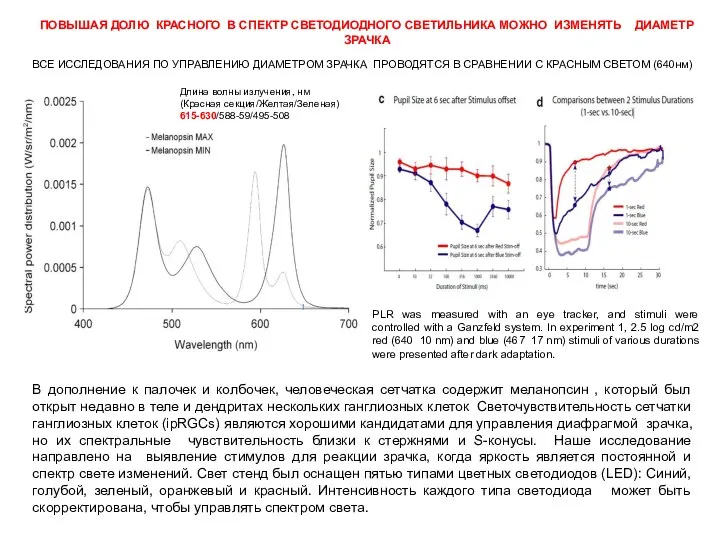 В дополнение к палочек и колбочек, человеческая сетчатка содержит меланопсин ,