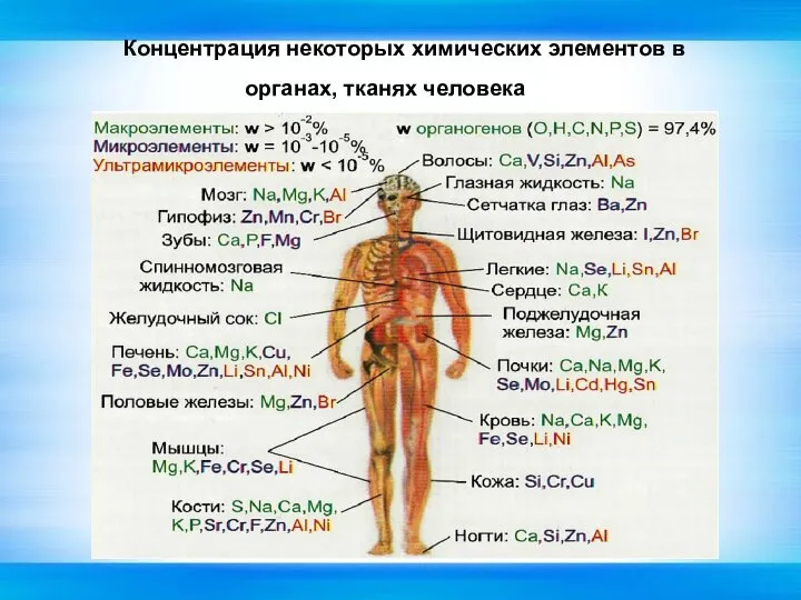 Концентрация некоторых химических элементов в органах, тканях человека