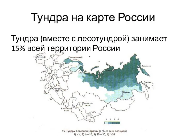 Тундра на карте России Тундра (вместе с лесотундрой) занимает 15% всей территории России