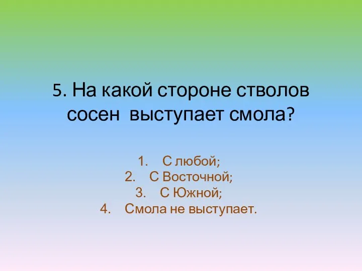 5. На какой стороне стволов сосен выступает смола? С любой; С