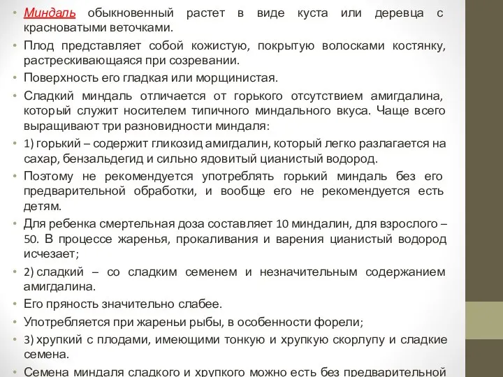 Миндаль обыкновенный растет в виде куста или деревца с красноватыми веточками.