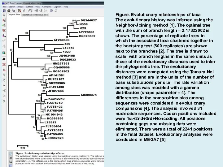 Figure. Evolutionary relationships of taxa The evolutionary history was inferred using