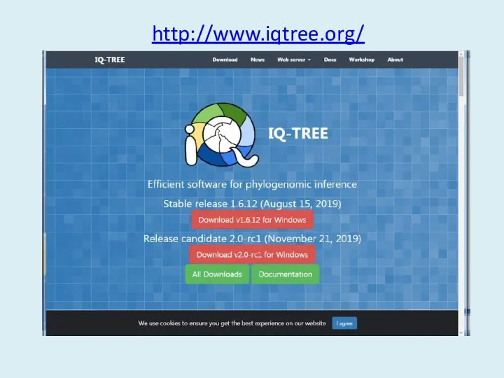 http://www.iqtree.org/