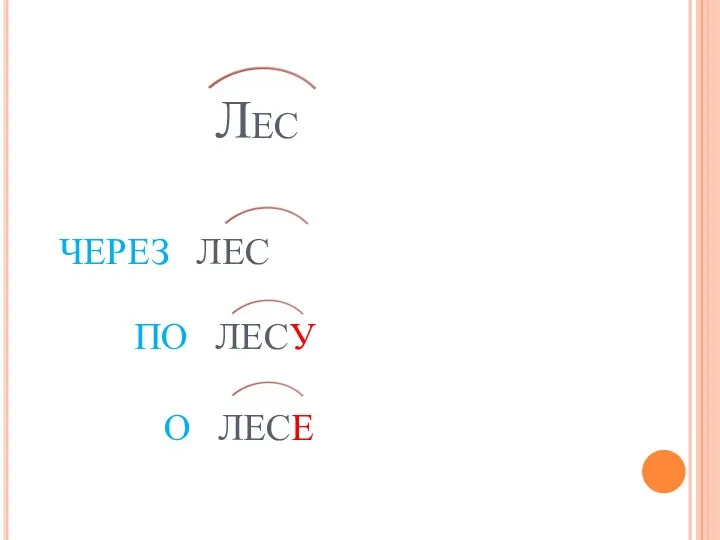 Лес через лес по лесу о лесе