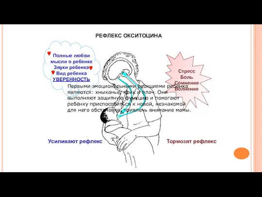 РЕФЛЕКС ОКСИТОЦИНА Усиливают рефлекс Тормозят рефлекс Полные любви мысли о ребенке