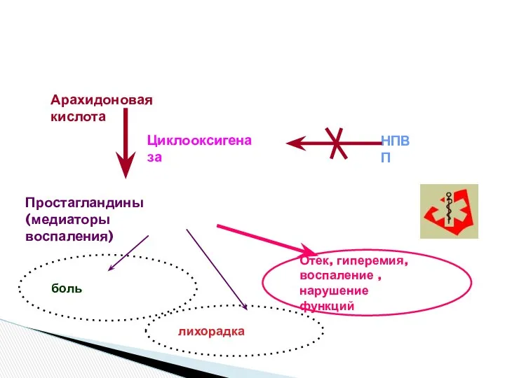 Арахидоновая кислота Циклооксигеназа НПВП Простагландины (медиаторы воспаления) боль лихорадка Отек, гиперемия, воспаление ,нарушение функций