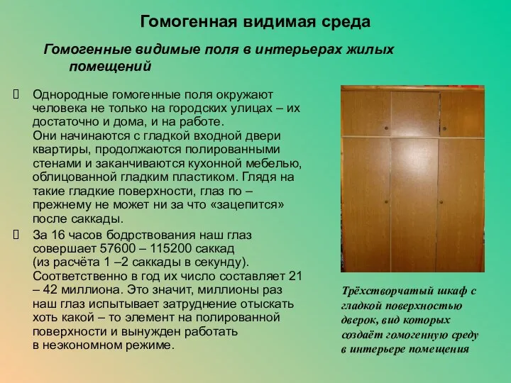 Гомогенная видимая среда Однородные гомогенные поля окружают человека не только на