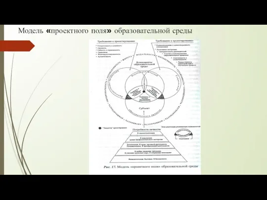 Модель «проектного поля» образовательной среды