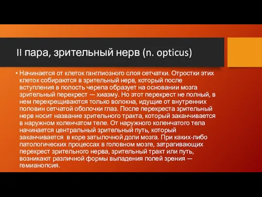 II пара, зрительный нерв (n. opticus) Начинается от клеток ганглиозного слоя