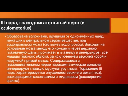 III пара, глазодвигательный нерв (n. oculomotorius) Образована волокнами, идущими от одноименных