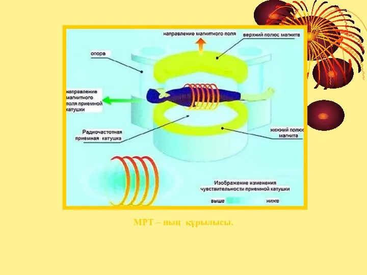 МРТ – ның құрылысы.