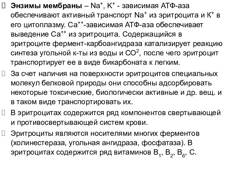 Энзимы мембраны – Na+, K+ - зависимая АТФ-аза обеспечивают активный транспорт