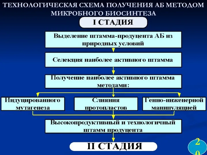 ТЕХНОЛОГИЧЕСКАЯ СХЕМА ПОЛУЧЕНИЯ АБ МЕТОДОМ МИКРОБНОГО БИОСИНТЕЗА 20