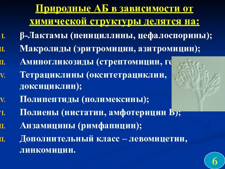 Природные АБ в зависимости от химической структуры делятся на: β-Лактамы (пенициллины,