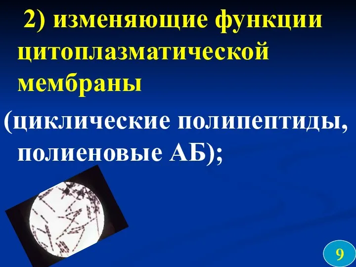 2) изменяющие функции цитоплазматической мембраны (циклические полипептиды, полиеновые АБ); 9