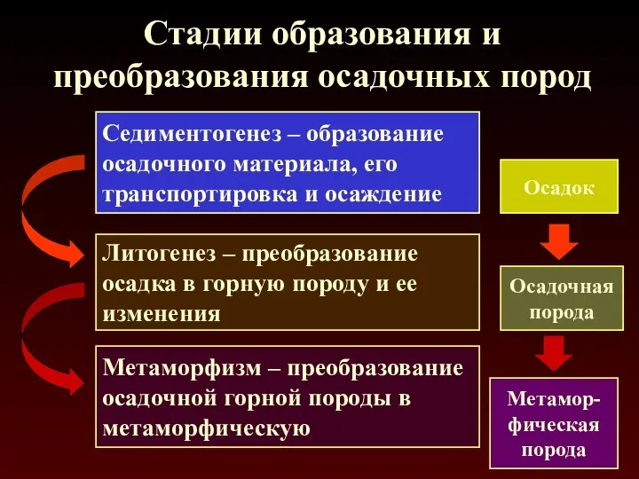 Стадии образования и преобразования осадочных пород Седиментогенез – образование осадочного материала, его транспортировка и осаждение Осадок