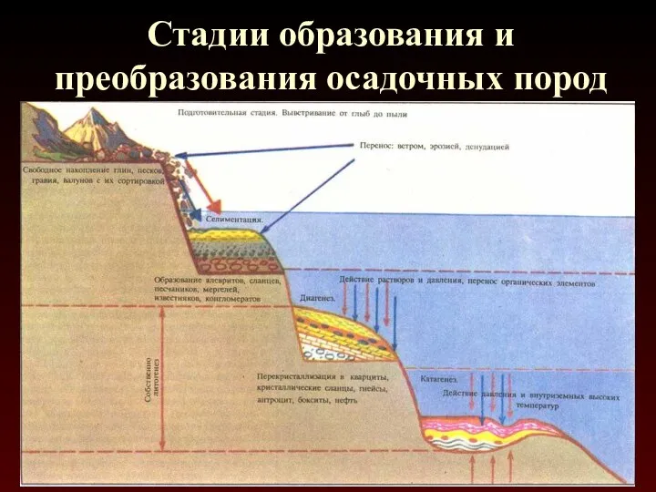 Стадии образования и преобразования осадочных пород