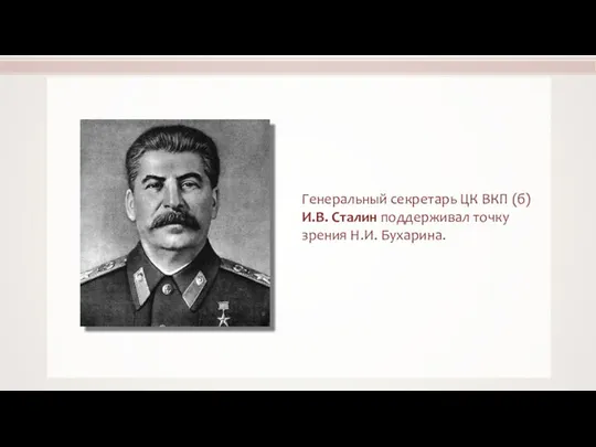 Генеральный секретарь ЦК ВКП (б) И.В. Сталин поддерживал точку зрения Н.И. Бухарина.