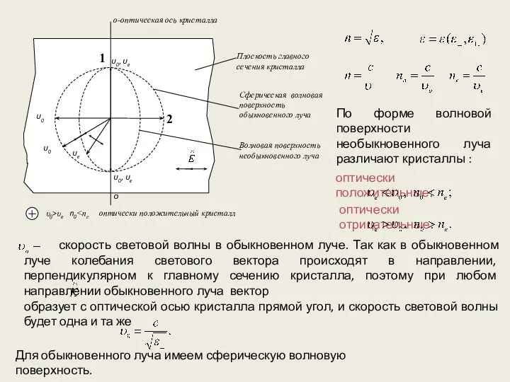 скорость световой волны в обыкновенном луче. Так как в обыкновенном луче