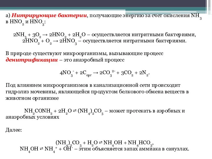 а) Нитрирующие бактерии, получающие энергию за счет окисления NH3 в HNO2