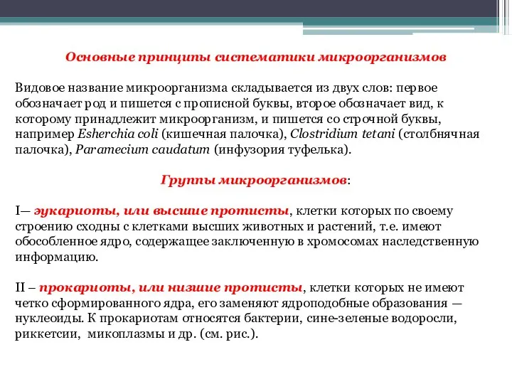 Основные принципы систематики микроорганизмов Видовое название микроорганизма складывается из двух слов: