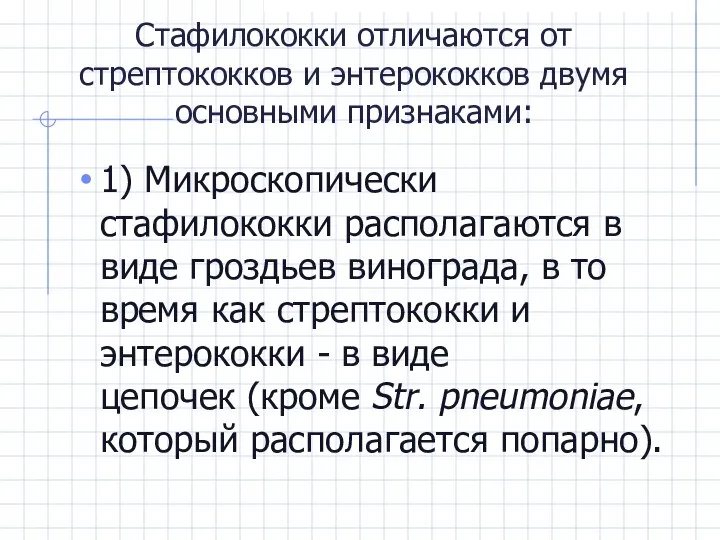 Стафилококки отличаются от стрептококков и энтерококков двумя основными признаками: 1) Микроскопически