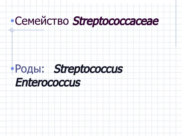 Семейство Streptococcaceae Роды: Streptococcus Enterococcus