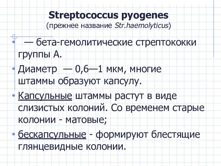 Streptococcus pyogenes (прежнее название Str.haemolyticus) — бета-гемолитические стрептококки группы А. Диаметр