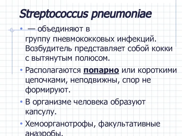 Streptococcus pneumoniae — объединяют в группу пневмококковых инфекций. Возбудитель представляет собой