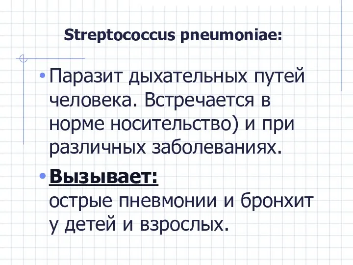 Streptococcus pneumoniae: Паразит дыхательных путей человека. Встречается в норме носительство) и