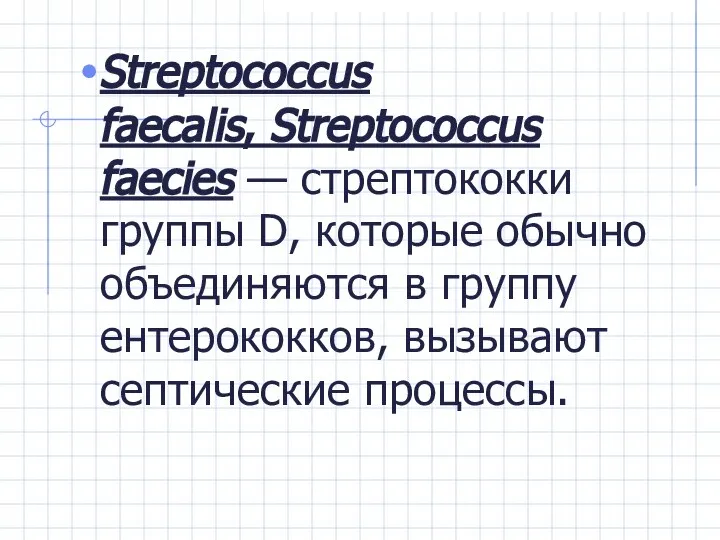Streptococcus faecalis, Streptococcus faecies — стрептококки группы D, которые обычно объединяются