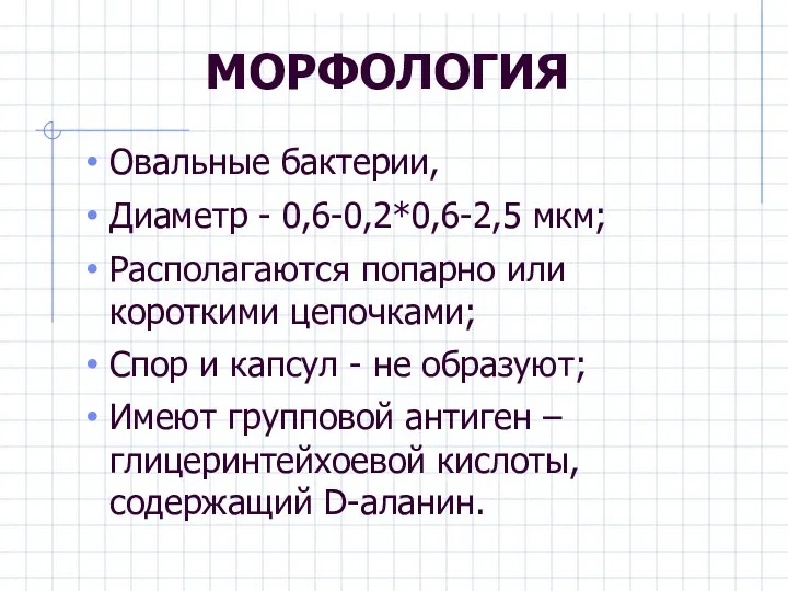 МОРФОЛОГИЯ Овальные бактерии, Диаметр - 0,6-0,2*0,6-2,5 мкм; Располагаются попарно или короткими