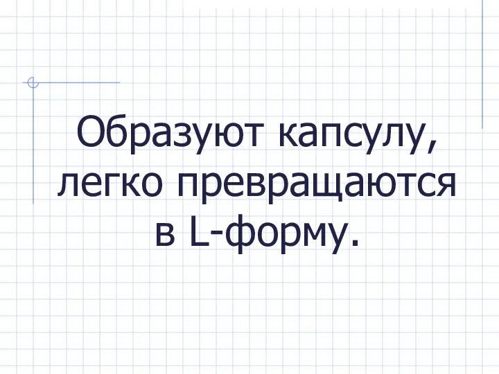 Образуют капсулу, легко превращаются в L-форму.