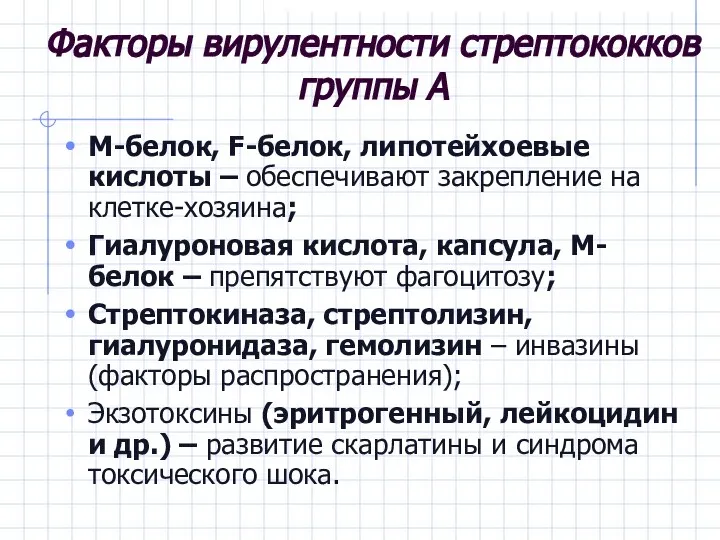 Факторы вирулентности стрептококков группы А М-белок, F-белок, липотейхоевые кислоты – обеспечивают