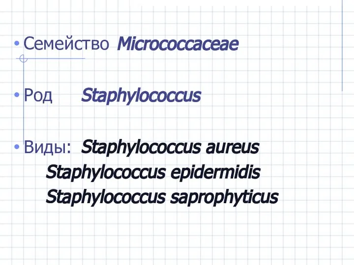 Семейство Micrococcaceae Род Staphylococcus Виды: Staphylococcus aureus Staphylococcus epidermidis Staphylococcus saprophyticus