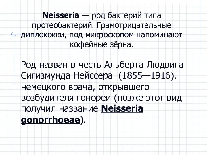 Neisseria — род бактерий типа протеобактерий. Грамотрицательные диплококки, под микроскопом напоминают