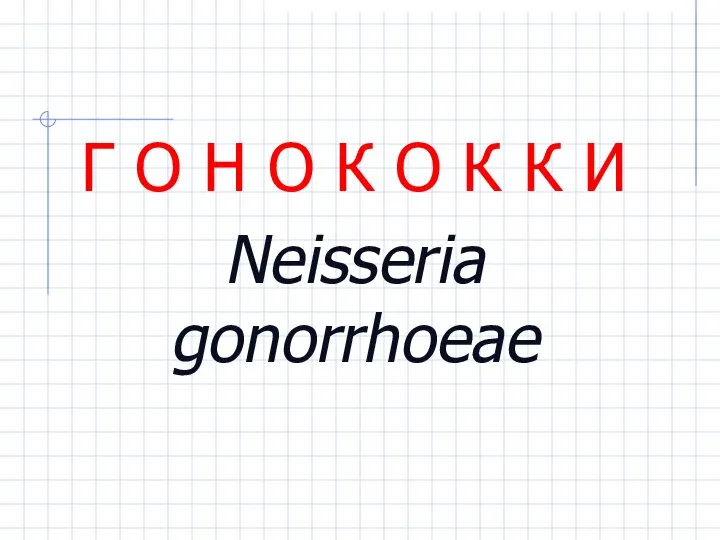 Г О Н О К О К К И Neisseria gonorrhoeae