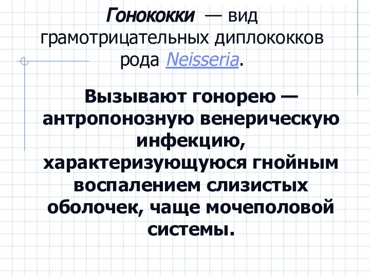 Гонококки — вид грамотрицательных диплококков рода Neisseria. Вызывают гонорею — антропонозную