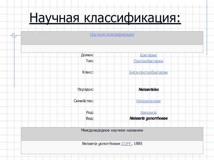 Научная классификация:
