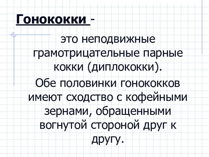 Гонококки - это неподвижные грамотрицательные парные кокки (диплококки). Обе половинки гонококков