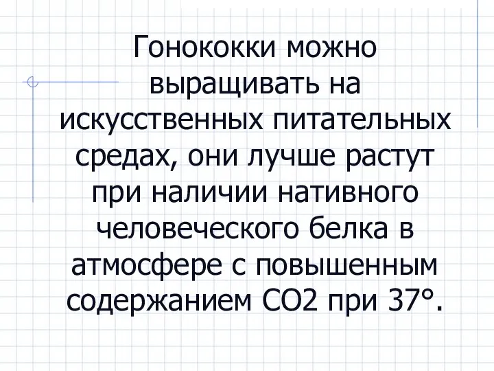 Гонококки можно выращивать на искусственных питательных средах, они лучше растут при