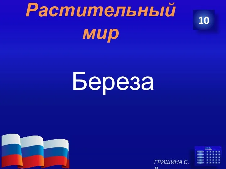 Растительный мир Береза 10