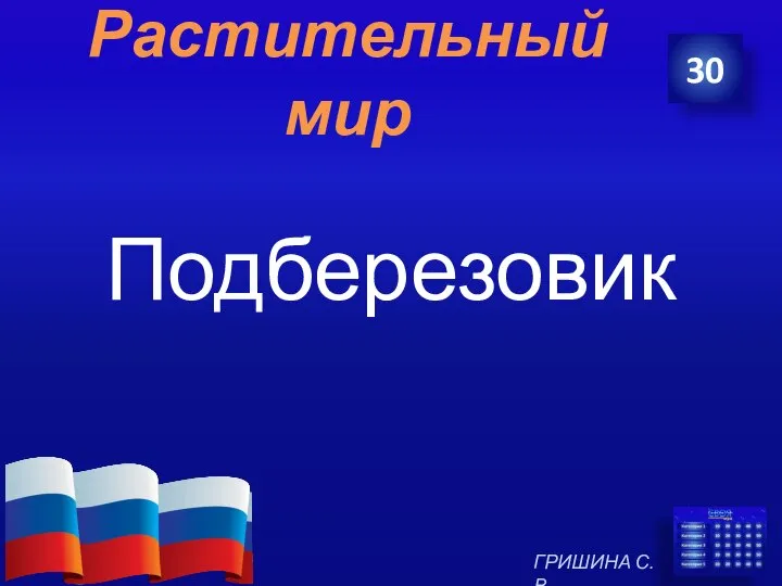 Растительный мир Подберезовик 30