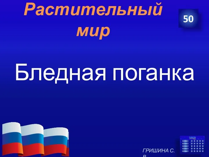 Растительный мир Бледная поганка 50