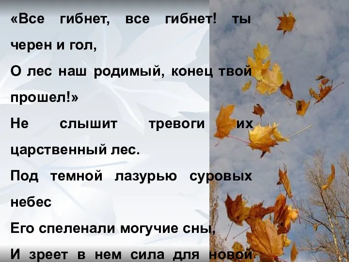 Осенние листья по ветру кружат, Осенние листья в тревоге вопят: «Все