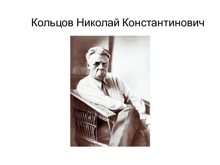 Кольцов Николай Константинович