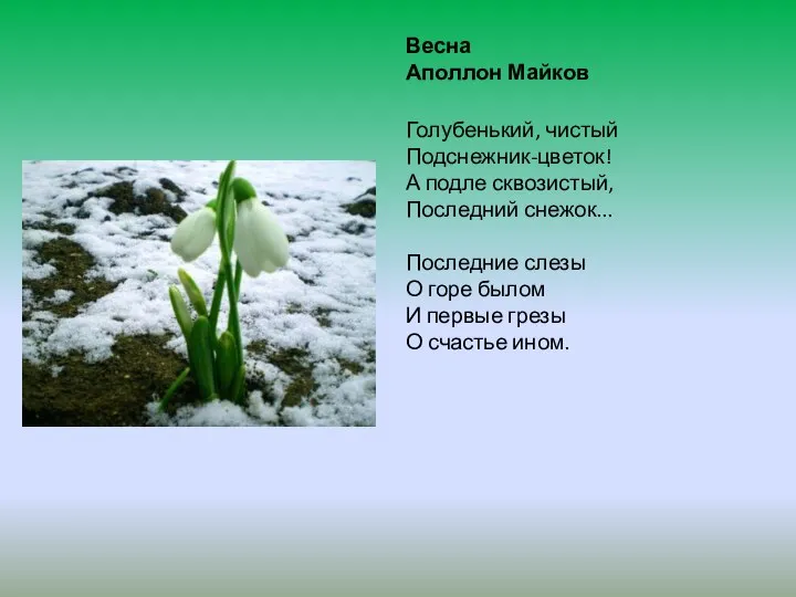 Весна Аполлон Майков Голубенький, чистый Подснежник-цветок! А подле сквозистый, Последний снежок...