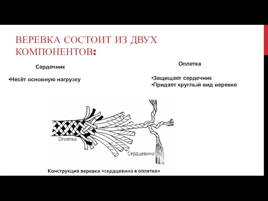 ВЕРЕВКА СОСТОИТ ИЗ ДВУХ КОМПОНЕНТОВ: Сердечник Оплетка Несёт основную нагрузку Защищает сердечник Придает круглый вид веревке