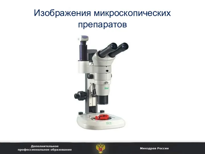 Изображения микроскопических препаратов